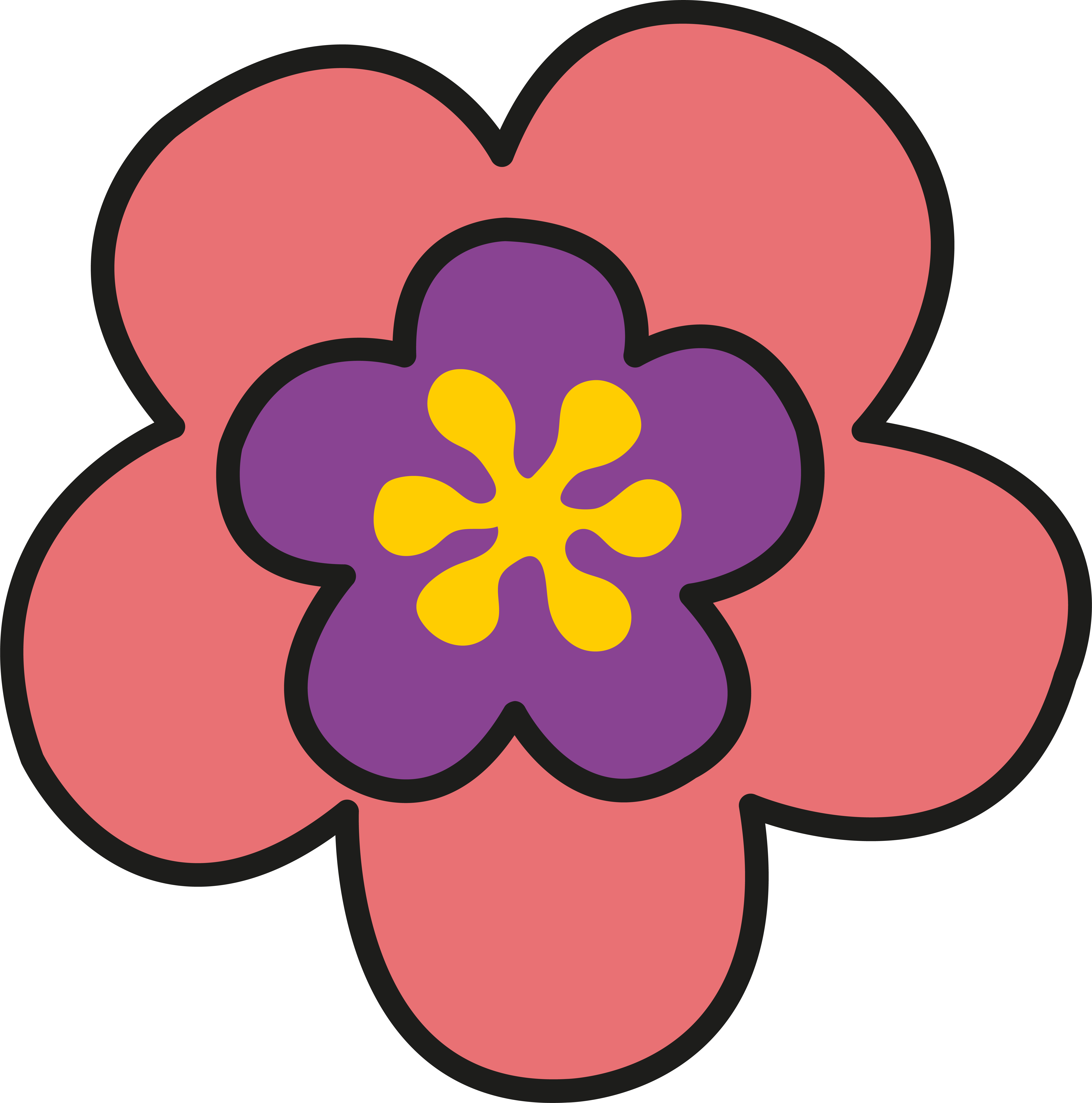 OriginalImage,Original