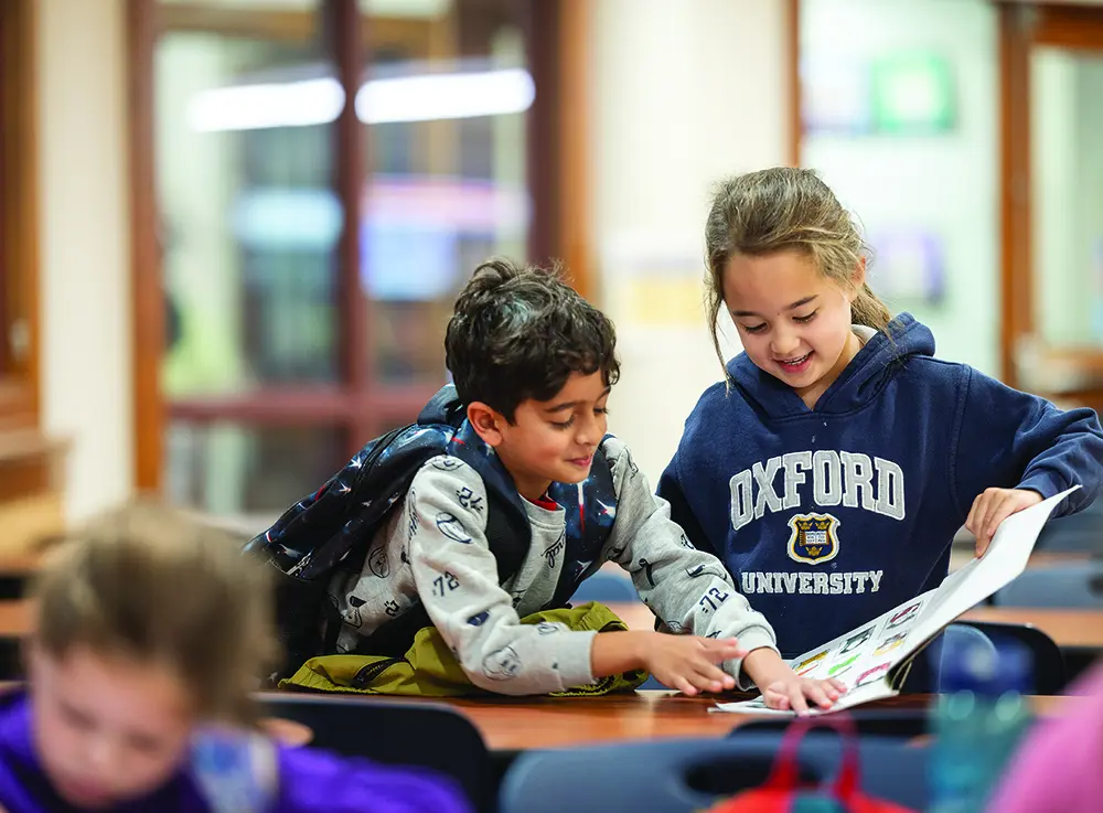  OptimizedImage,,,Optimized